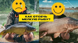 КАК ОТСЕЧЬ МЕЛКУЮ РЫБУ? Что можно изменить, чтобы поймать крупного карпа? Вопросы о КАРПФИШИНГЕ