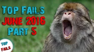 Лучшие приколы Июнь 2016 Часть 5 ||Top Fails||