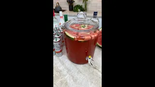 Insane Watermelon Jungle Juice 🍉 #short