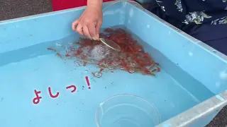 金魚すくいにチャレンジ