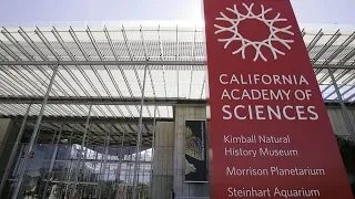 Celebrating SF's Cal Academy l A look back at how the Golden Gate Park museum came to be
