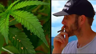 Legalized High: Growing hemp in an unregulated market for Delta-8