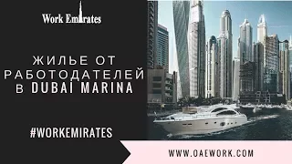 ЖИЛЬЕ В ДУБАЙ ОТ РАБОТОДАТЕЛЕЙ - WORK EMIRATES