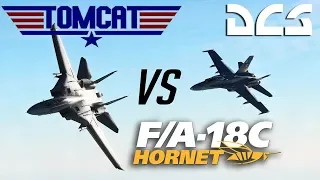 DCS: F-14 Tomcat Vs F-18 Hornet Dogfight + Tacview