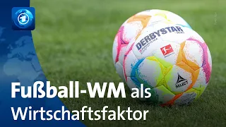 Wie die WM in Katar die Wirtschaft beeinflusst