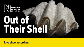 What are Bivalves and why are they brilliant? | Live Talk with NHM Scientist