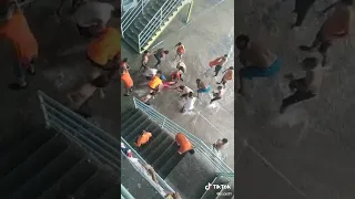 Carnaval de los presos en guayaquil 🇪🇨🤣🤣