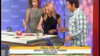 AllPro HS-20 featured on the TODAY Show - Fall Fix Ups with Frank Fontana