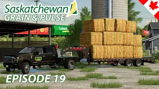 Mistakes were made! Losing money on bales... - Saskatchewan Grain & Pulse - Episode 19 - FS22