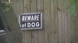 Woman dies after being mauled by 3 pitbulls