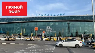 Аэропорт Домодедово сегодня прямой эфир ￼￼89637610707