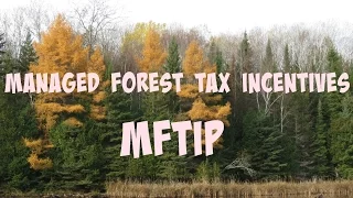 Managed Forest Tax Incentives