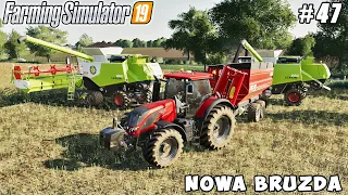 Plowing, harvesting canola | Nowa Bruzda | Farming simulator 19 | Timelapse #47