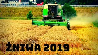 🌾Żniwa 2019 🌾* Pszenica * ║ FORTSCHRITT MDW E524 ║& ║ ZETOR ZTS 12045 ║ Podkarpacie ☀