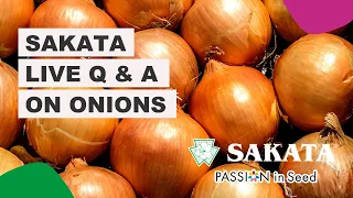 Sakata Live Q & A On Onions