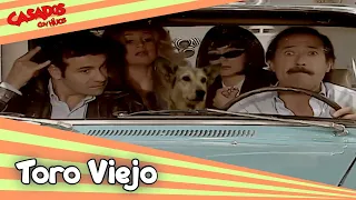 Toro Viejo - Casados Con Hijos