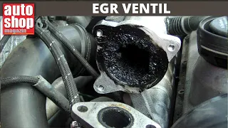 EGR ventil ASM 1060