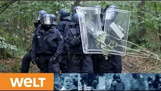 HAMBACHER FORST: Polizei geht gegen Kohlegegner und Baumbesetzer vor