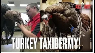 Turkey Taxidermy! - Carolina ALL OUT | S-3/Ep5