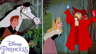How Did Aurora Meet Prince Phillip? | Disney Princess