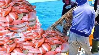 LIFT THE TRAINS IN THE SEA || SUPER RED FISH FLOOD_Wawoangi Fishing Squad