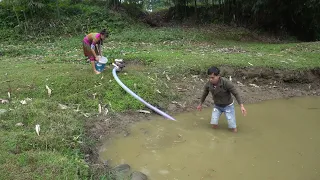 One Day Wild Fishing Exciting, Unique Catch Big Fish With A Large Pump Sucks Water Out Of Wild Lake