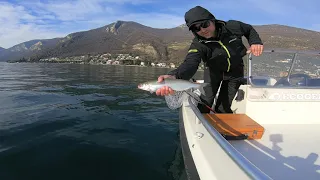 PESCA AL LAVARELLO LAGO D'ISEO 2024 : L'Apertura Perfetta