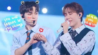 Vernon and seungkwan being head over heels for each other