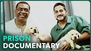 Puppies For Prisoners | Prison Dogs (Pet Documentary) | Real Stories