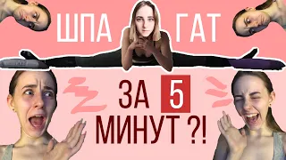 Села на шпагат за 5 МИНУТ! Как быстро сесть на шпагат? Растяжка