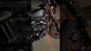 Iron 883 startup. Vance & Hines exhaust and intake