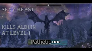 I Killed Alduin at Level 1