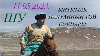 Шу. Ынтымақ палуанның елден бата алу той көкпары 11.05.2023.