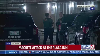 Police investigate machete attack