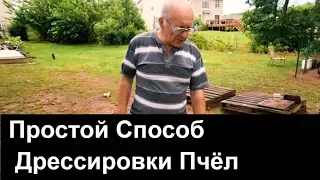 №69 Простой Способ Дрессировки Пчёл.Пчеловодство.Пасека.