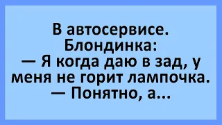 Блондинка: я когда даю в зад, то.... Анекдоты смешные до слез! Юмор! Приколы!