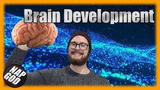 Brain development: Timeline of how the brain develops!