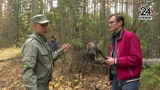 Кормушки для диких животных и посадка саженцев