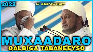 Muxaadaro Qalbiga Taabaneeyso 2022 || Sheekh Xuseen Cali Jabuuti