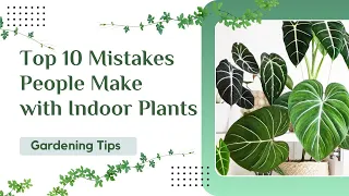 Top 10 Common Mistakes People Make with Indoor Plants | #houseplants #indoorplant #greenhavengrows