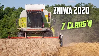 ☆ŻNIWA 2020 z DOMINATORAMI☆ 2 KOMBAJNY W AKCJI ☆2x CLAAS DOMINATOR☆108 MAXI & 76☆WIELKOPOLSKA☆