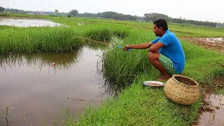 Fishing Video🐠🐬 || The boy is happily fishing in the field canal || Beautiful hook fishing