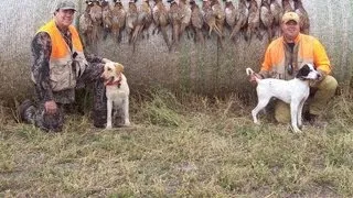 South Dakota Pheasant Hunting with Whiteoak Outfitters