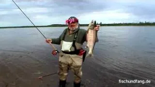 Angeln auf Lachs in Alaska Teil 1
