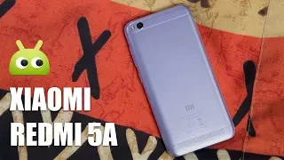 Обзор Xiaomi Redmi 5A