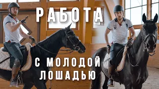 Работа с молодой лошадью (заключительная серия)