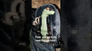 когда есть чем гордиться) ##shorts