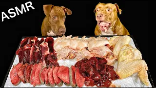 ASMR MUKBANG PITBULL EATING RAW FOODS CHICKEN HEADS OX TONGUE