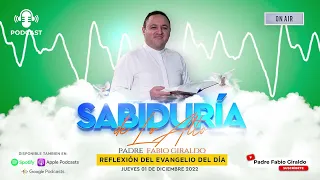 Evangelio del día Jueves 01 de Diciembre de 2022  | Padre Fabio Giraldo