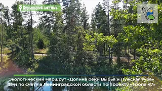 Экологический маршрут "Долина реки Выбья и Лужская губа"